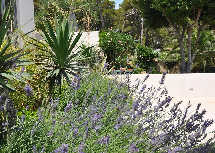 Design 2ˇˇˇˇ דירה *